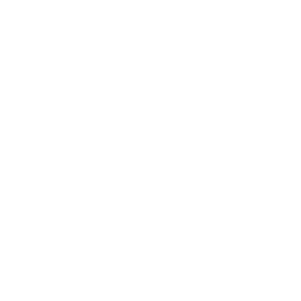 Birch Riverr Logo